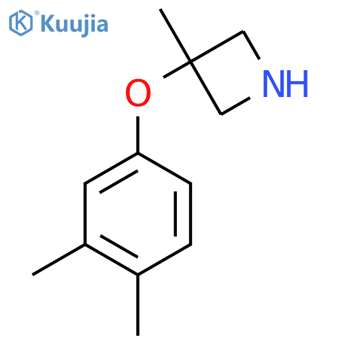 3-(3,4-dimethylphenoxy)-3-methylazetidine structure