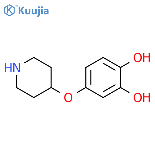 4-(piperidin-4-yloxy)benzene-1,2-diol structure