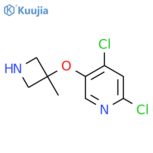 2,4-dichloro-5-(3-methylazetidin-3-yl)oxypyridine structure