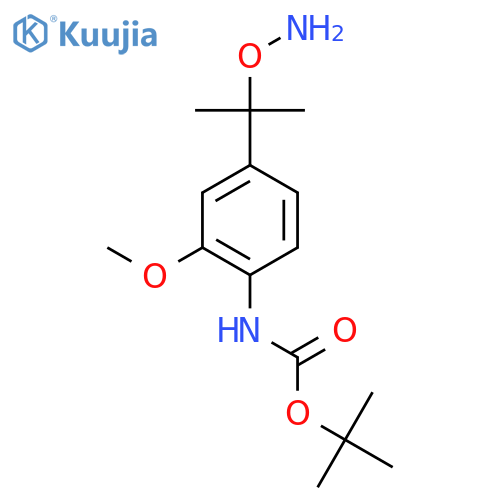 tert-butyl N-{4-2-(aminooxy)propan-2-yl-2-methoxyphenyl}carbamate structure