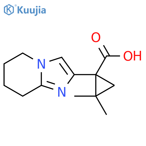 1-{5H,6H,7H,8H-imidazo1,2-apyridin-2-yl}-2,2-dimethylcyclopropane-1-carboxylic acid structure