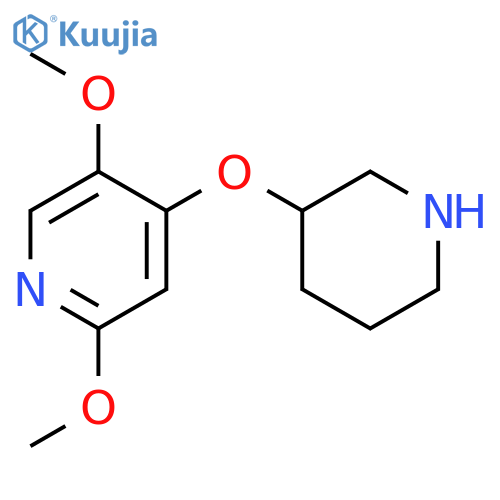 2,5-dimethoxy-4-(piperidin-3-yloxy)pyridine structure