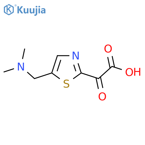2-{5-[(Dimethylamino)methyl]-1,3-thiazol-2-yl}-2-oxoacetic acid structure