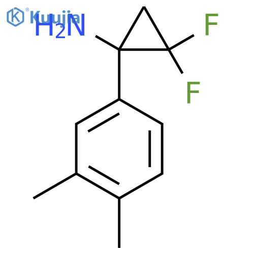 1-(3,4-dimethylphenyl)-2,2-difluorocyclopropan-1-amine structure