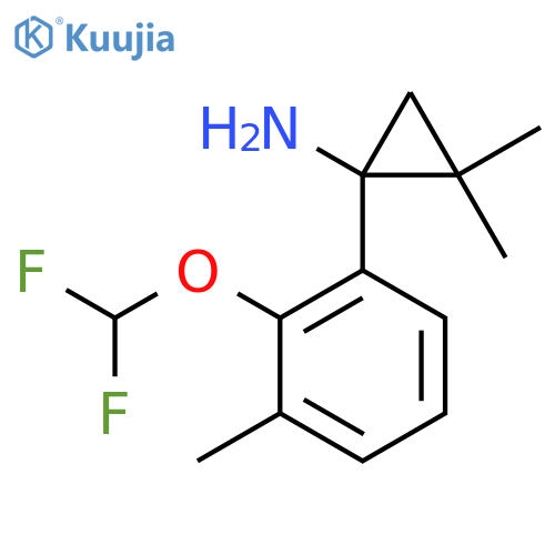 1-2-(difluoromethoxy)-3-methylphenyl-2,2-dimethylcyclopropan-1-amine structure