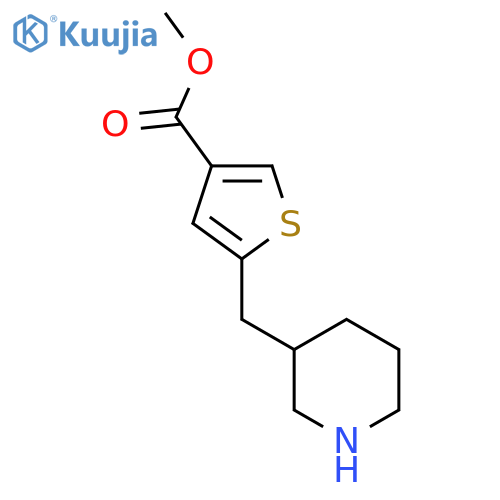 methyl 5-(piperidin-3-yl)methylthiophene-3-carboxylate structure