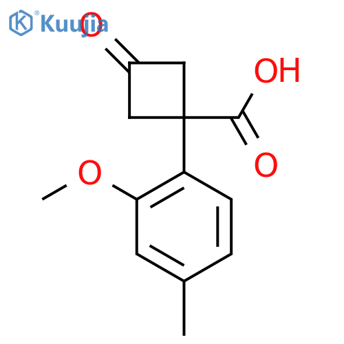 1-(2-methoxy-4-methylphenyl)-3-oxocyclobutane-1-carboxylic acid structure