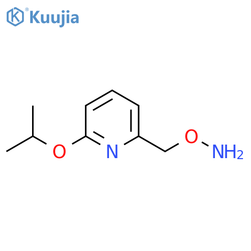 O-{6-(propan-2-yloxy)pyridin-2-ylmethyl}hydroxylamine structure
