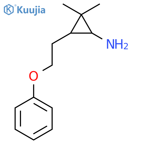 2,2-dimethyl-3-(2-phenoxyethyl)cyclopropan-1-amine structure