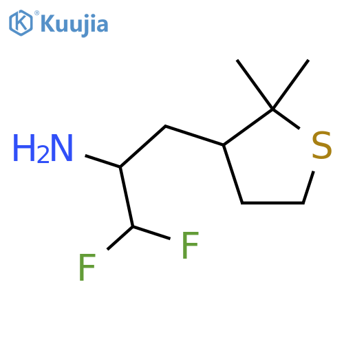 3-(2,2-dimethylthiolan-3-yl)-1,1-difluoropropan-2-amine structure