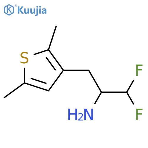 3-(2,5-dimethylthiophen-3-yl)-1,1-difluoropropan-2-amine structure