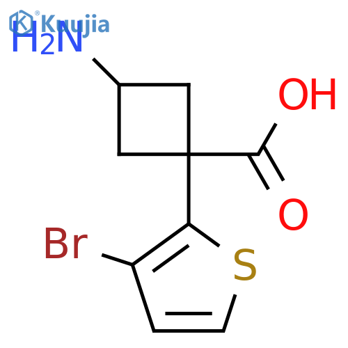 3-amino-1-(3-bromothiophen-2-yl)cyclobutane-1-carboxylic acid structure