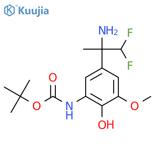 tert-butyl N-5-(2-amino-1,1-difluoropropan-2-yl)-2-hydroxy-3-methoxyphenylcarbamate structure