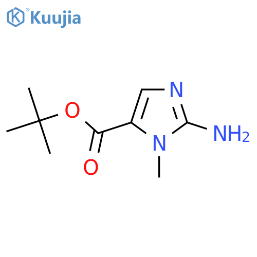 Tert-butyl 2-amino-3-methylimidazole-4-carboxylate structure