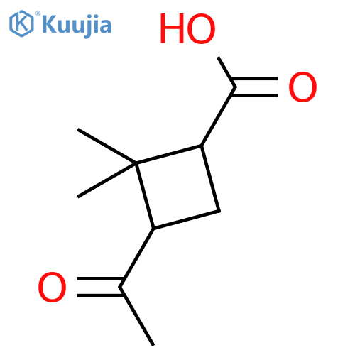 (1R,3S)-3-acetyl-2,2-dimethylcyclobutane-1-carboxylic acid structure