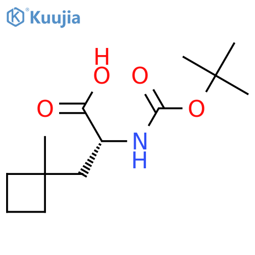 Cyclobutanepropanoic acid, α-[[(1,1-dimethylethoxy)carbonyl]amino]-1-methyl-, (αR)- structure