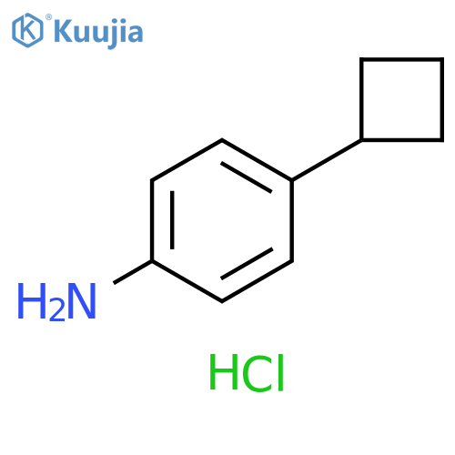 4-cyclobutylaniline hydrochloride structure