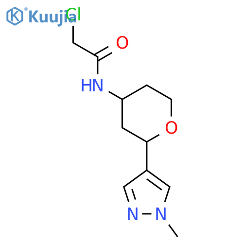 2-chloro-N-2-(1-methyl-1H-pyrazol-4-yl)oxan-4-ylacetamide structure