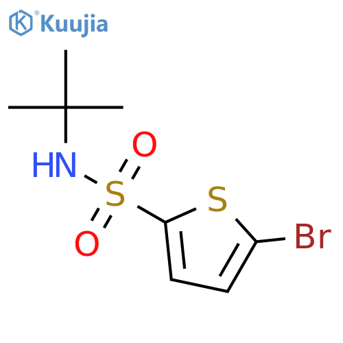 5-Bromo-N-tert-butyl-2-thiophenesulfonamide structure