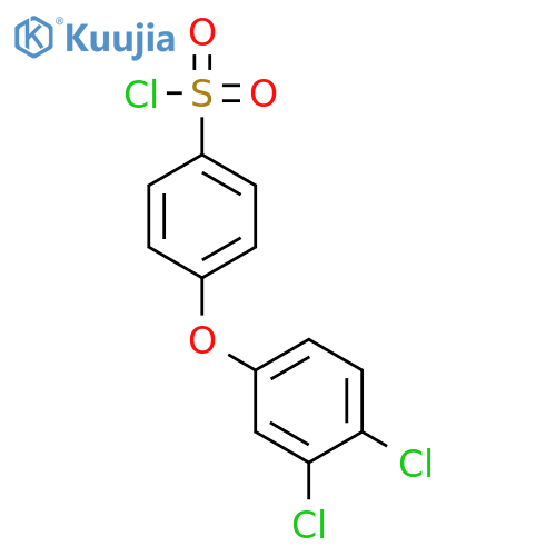 4-(3,4-Dichlorophenoxy)benzenesulfonyl chloride structure