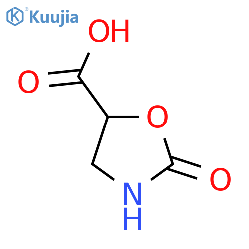 2-Oxo-1,3-oxazolidine-5-carboxylic acid structure