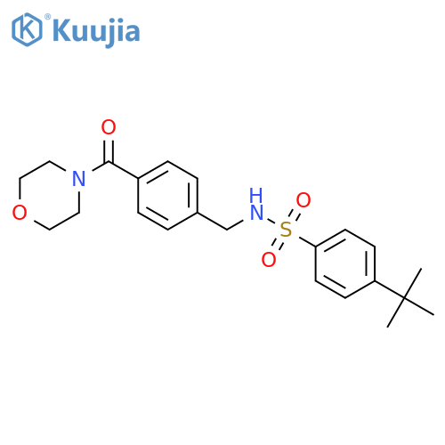 4-tert-butyl-N-{4-(morpholine-4-carbonyl)phenylmethyl}benzene-1-sulfonamide structure