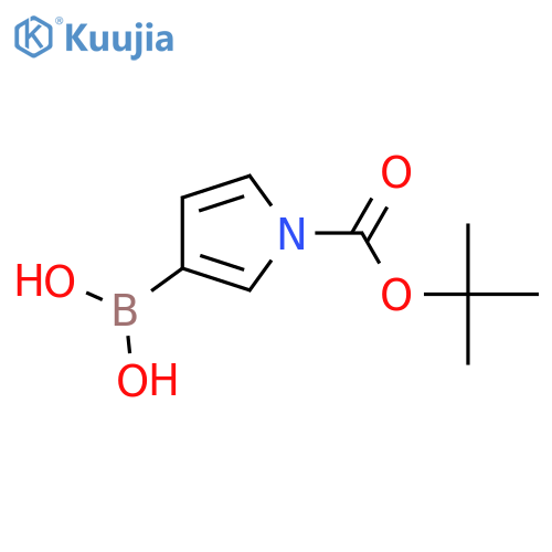 1-(tert-Butoxycarbonyl)pyrrole-3-boronic Acid structure
