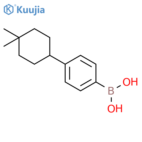 BORONIC ACID, [4-(4,4-DIMETHYLCYCLOHEXYL)PHENYL]- structure
