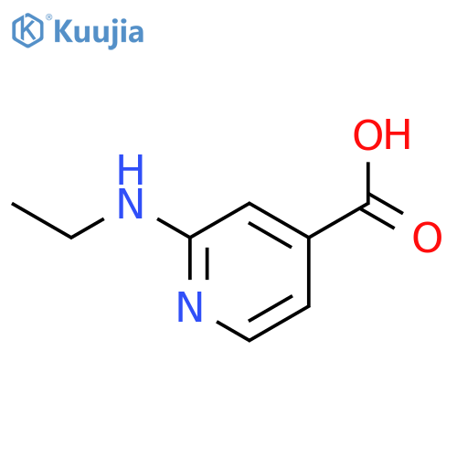 2-(ethylamino)pyridine-4-carboxylic acid structure