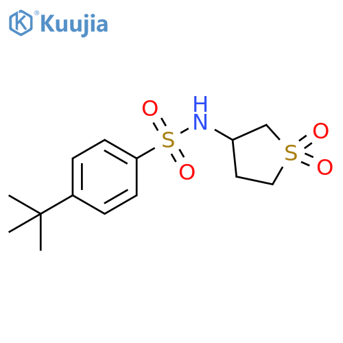 4-tert-butyl-N-(1,1-dioxo-1lambda6-thiolan-3-yl)benzene-1-sulfonamide structure