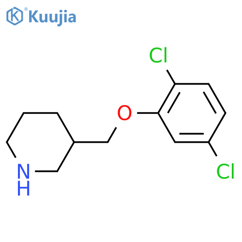 3-[(2,5-Dichlorophenoxy)methyl]piperidine structure