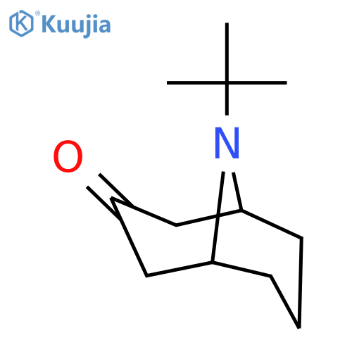 9-azabicyclo[3.3.1]nonan-3-one, 9-tert-butyl- structure